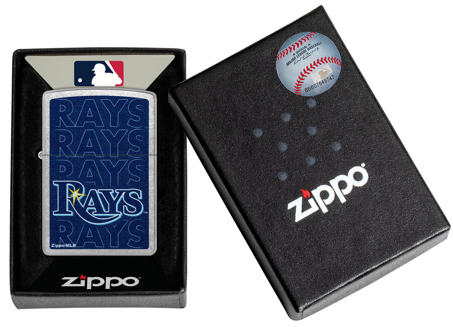 mlb タンパベイレイズ ロゴデザイン